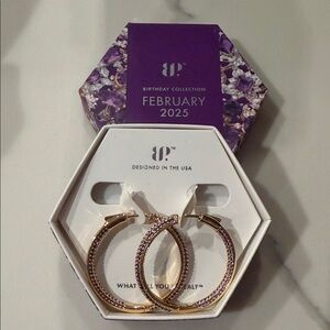 BP Gold and Purple Hoop Earrings